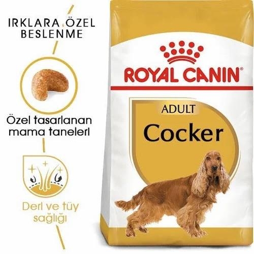 Royal Canin Cocker Yetişkin Köpek Maması 3 Kg - 3