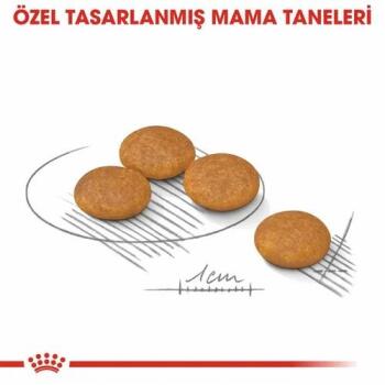 Royal Canin Mini Dermacomfort Yetişkin Köpek Maması 3 Kg - 2