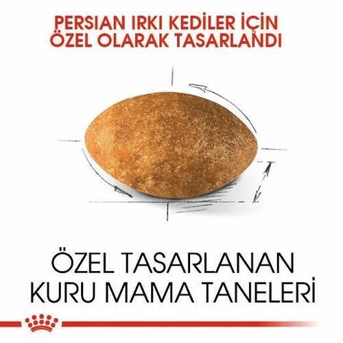 Royal Canin Persian Yetişkin Kedi Maması 4 Kg - 2