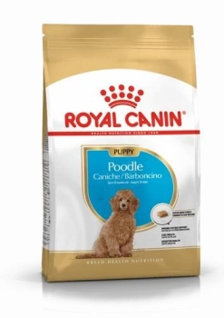 Royal Canin Poodle Yavru Köpek Maması 3 Kg - 1