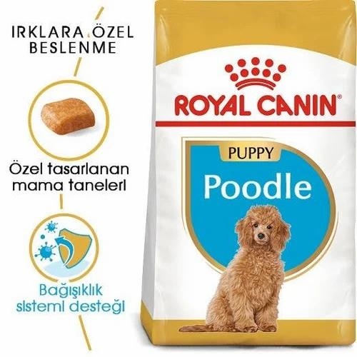 Royal Canin Poodle Yavru Köpek Maması 3 Kg - 3