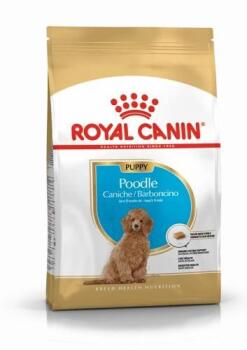 Royal Canin Poodle Yavru Köpek Maması 3 Kg - 1