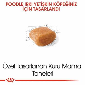 Royal Canin Poodle Yetişkin Köpek Maması 3 Kg - 2