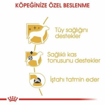 Royal Canin Poodle Yetişkin Köpek Maması 3 Kg - 4
