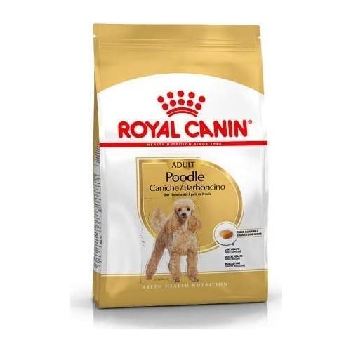 Royal Canin Poodle Yetişkin Köpek Maması 3 Kg - Royal Canin