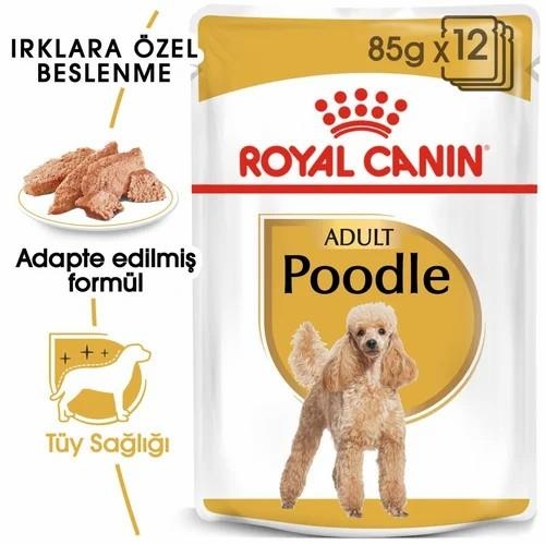 Royal Canin Poodle Yetişkin Köpek Yaş Maması 85 Gr 12 Li - 3