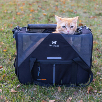 Voyager 450 Kumaş Taşıma Çantası / Gri - 2